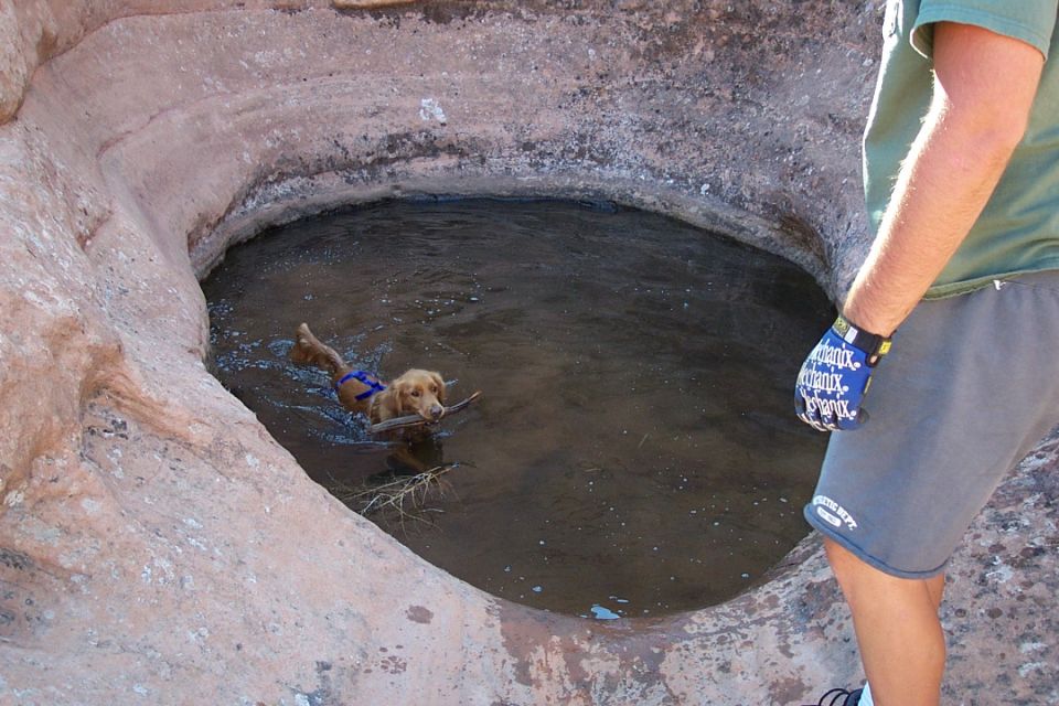 Dog retrieves stick from water in a natural rock pool, person in gloves stands nearby