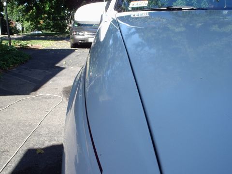 1998 Ford Taurus - Side view of a car's hood and fender, with another vehicle parked behind it.