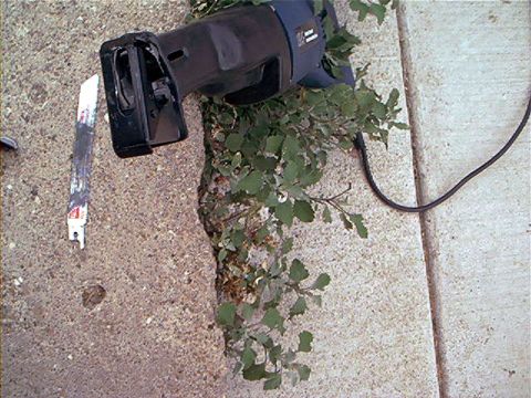 1995 Ford Bronco - A corded reciprocating saw with a visibly bent blade lies on a concrete driveway next to a leafy weed growing up through the expansion join…