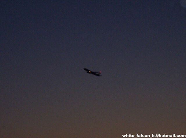 Jet airplane flying in the dusk sky. Supermotors.net logo in the corner