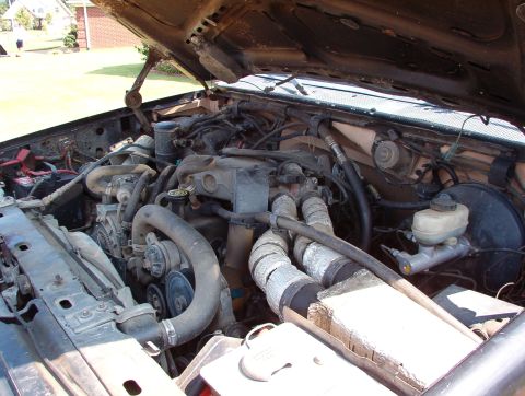 1983 Ford Bronco - The '95 4.9L in the '85 F250 front clip on the '82 body tub on my '83 frame. If you look VERY closely & know your Ford truck parts, you'll…