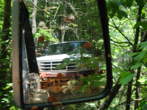 1995 Ford Bronco - Hurry up or I'm going over you.