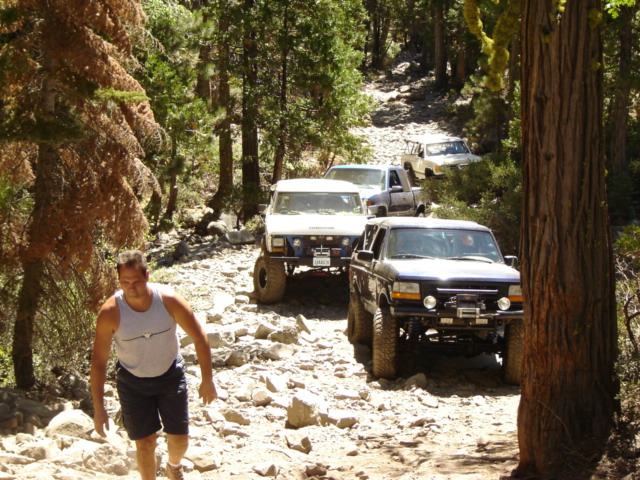 Line of lifted Ford 4x4 Broncos on a rocky pine-forest trail