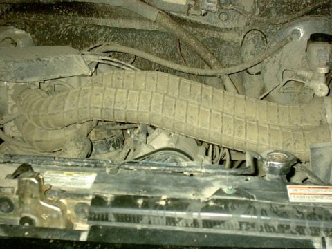 1995 Ford Bronco - Close-up of a dusty engine bay, showing the air intake hose and radiator cap.