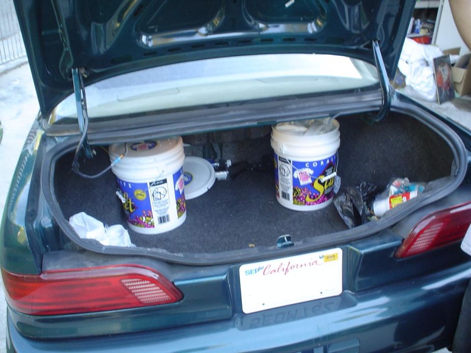 Dark green 1993 Ford Taurus trunk with two buckets and a California license plate