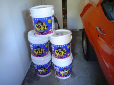 1993 Ford Taurus - Buckets of Coralife Salt are stacked next to the side of an orange vehicle in a garage.