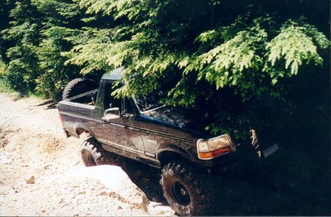 1993 Ford Bronco - This 1993 Ford Bronco is navigating a challenging off-road trail surrounded by dense foliage.