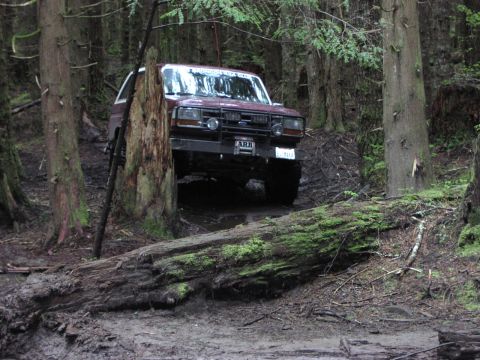 1993 Ford Bronco - READERPIT