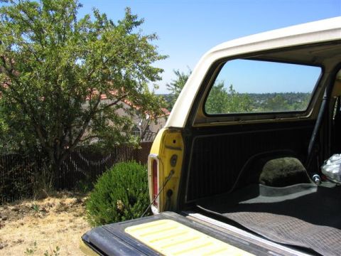 1978 Ford Bronco - The interior of a vintage Ford Bronco's cargo area is visible, with a view of the outdoors through the rear window.