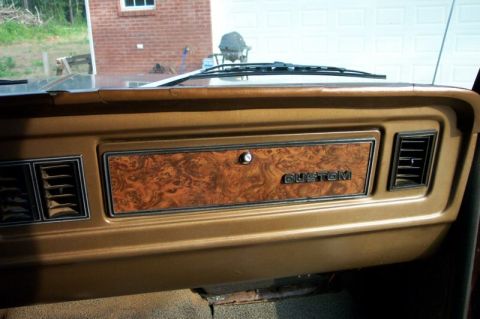 1979 Ford F-150 photo