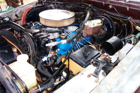 1979 Ford F-150 photo