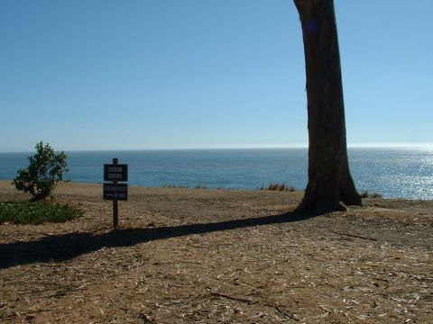1990 Ford Bronco - A scenic view of the ocean is visible behind a tree and a sign indicating erosion control measures.