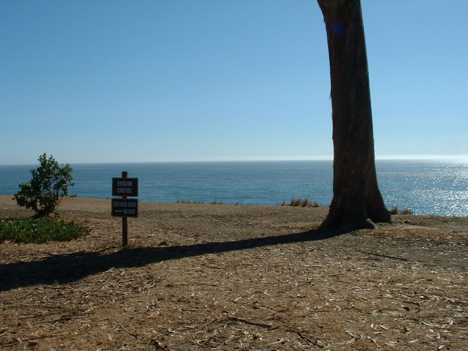 Coastal scene with a tree, ocean, and erosion control sign