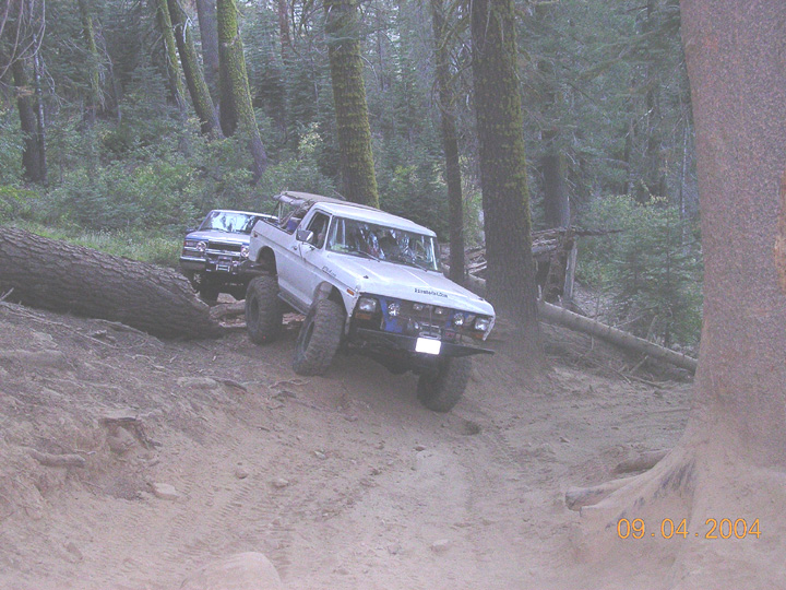 White topless Ford Bronco with roll bar on a steep rutted dirt trail in the pines