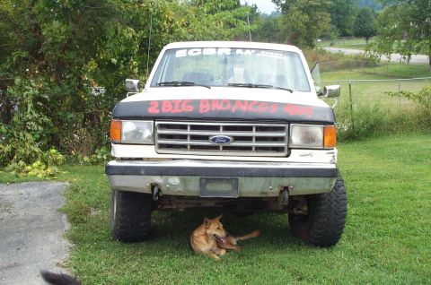 1988 Ford Bronco - A dog rests in the shade under a lifted Ford truck with custom hood art.