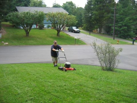 1985 Ford LTD Crown Victoria - A man is mowing his lawn on a suburban street with a car in the background.