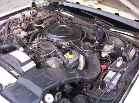 1991 Ford Crown Victoria LTD - A close-up view of a car's engine bay, showing the complex network of hoses and wiring.