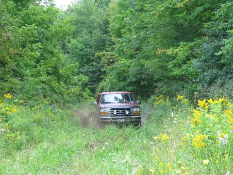 1995 Ford Bronco - A red 1995 Ford Bronco navigates a muddy, overgrown path surrounded by lush green trees and yellow wildflowers.