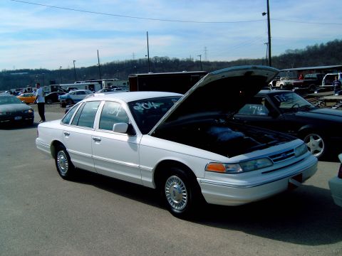 1998 Ford Crown Victoria - Shawn81's P71 w/iced intake.