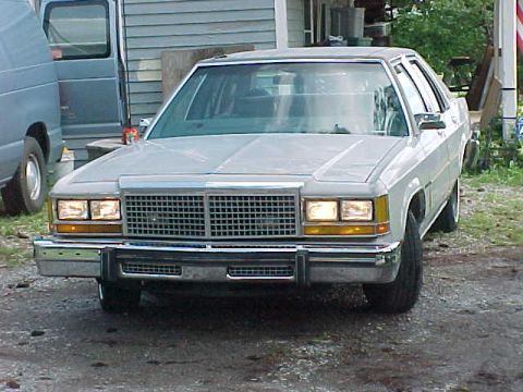 1989 Ford Crown Victoria “moosey”