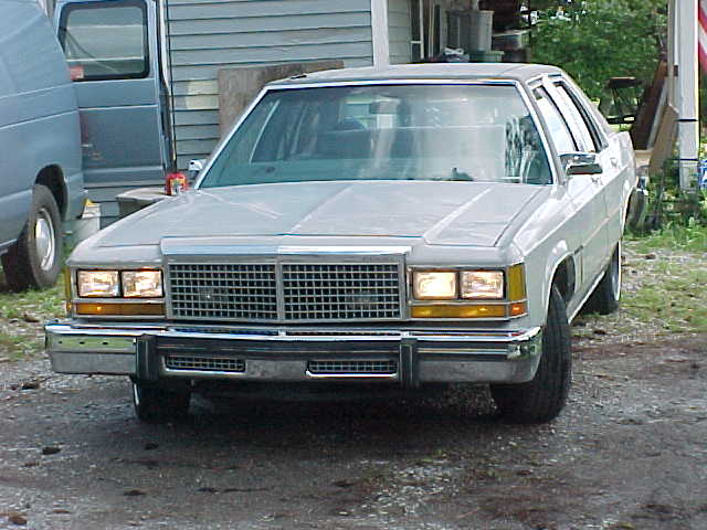 1989 Ford Crown Victoria “moosey”