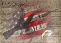 2001 Ford Crown Victoria - Composite image of the US Constitution, flag, eagle, and a rifle.