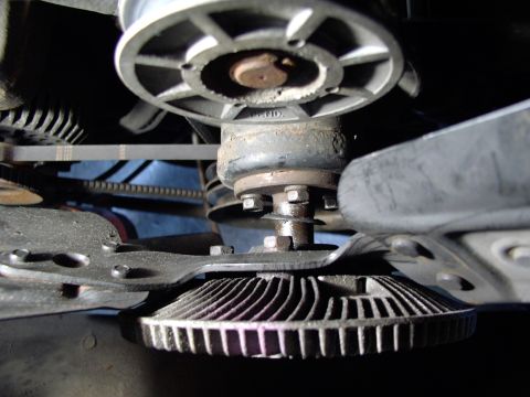 1986 Ford Bronco - The bearings on my clutch fan were on their way out in a big noisy way. Notice the bearing seal that has worked it's way off onto the shaft…
