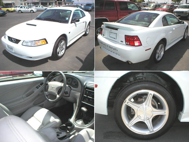 Collage of white Ford Mustang coupe: front, rear, gray interior, and alloy wheel.