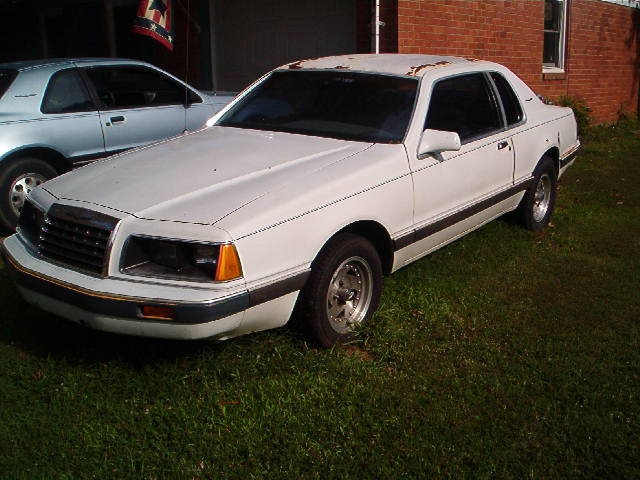 White Ford Thunderbird parked on grass next to a silver car. Rust is visible on the roof