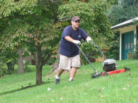 1985 Ford LTD Crown Victoria - A man pushes a lawnmower up a hill on a sunny day, with a house visible in the background.
