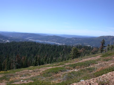 1996 Ford Bronco - A wide vista shows rolling hills covered in dense pine forest, with a calm lake visible in the distance.
