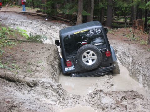 1995 Ford Bronco - Wally and his new Rubicon