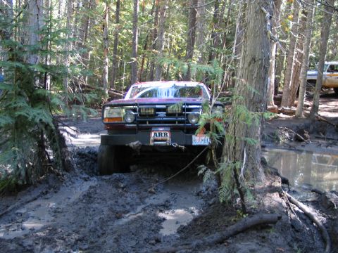 1995 Ford Bronco - comin' out.