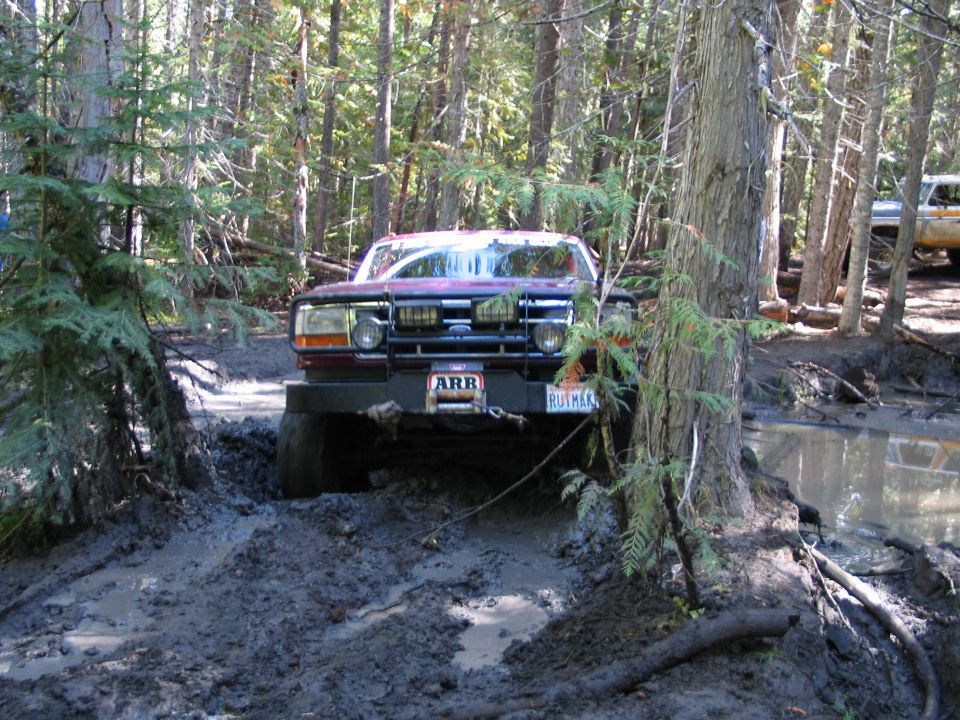 Ford pickup with brush guard nosed down into a deep muddy rut on a forest trail