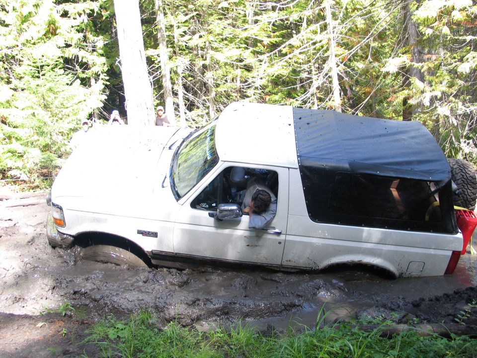 White Ford Bronco stuck axle-deep in mud on a forest trail, driver leaning out window