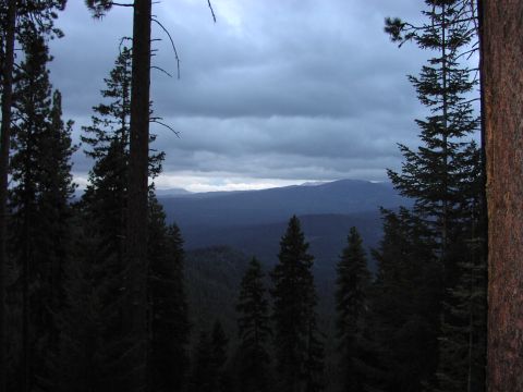 1995 Ford Bronco - A view of rolling hills and distant mountains under a cloudy sky, framed by tall trees.
