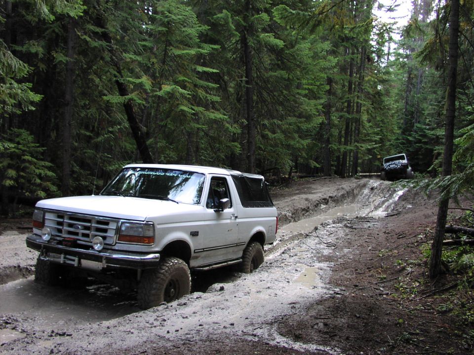 White lifted Ford Bronco on muddy forest trail with another 4x4 in background