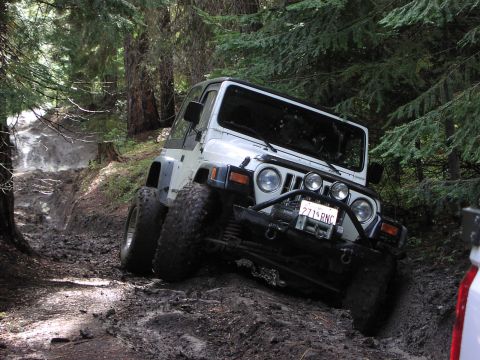 1995 Ford Bronco - A white Jeep Wrangler navigates a challenging muddy trail through a dense forest.
