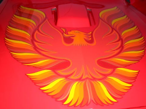 1985 Ford Bronco - A red car hood displays a prominent phoenix decal with flame-like wings.
