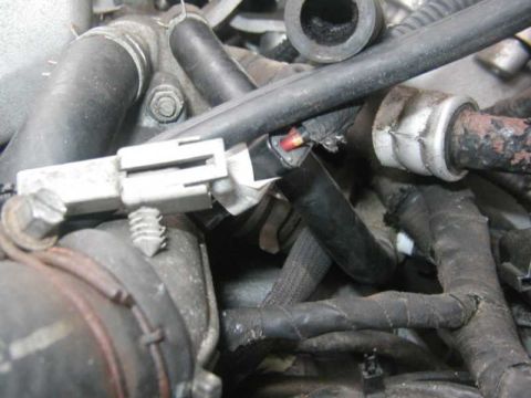1993 Ford Taurus - Close-up view of a vehicle's engine compartment, showing various hoses and electrical wiring.