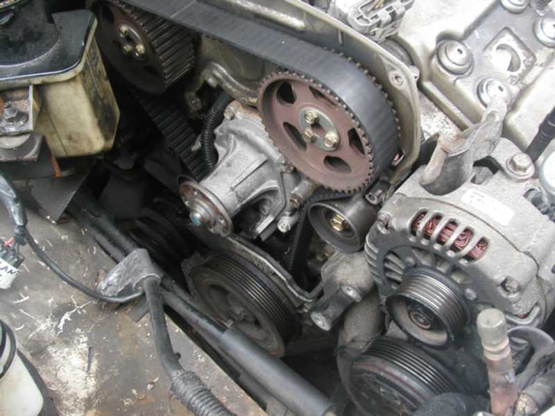 Engine timing belt, tensioner, water pump, and alternator