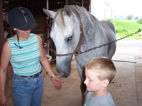 1994 Ford Bronco - A woman, a boy, and a horse are in a stable. The Supermotors.net logo is in the lower right corner.