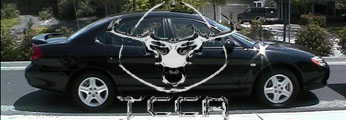 2002 Ford Taurus - Small forum signature banner showing a black four-door sedan in side profile on a driveway, with a chrome bull/longhorn skull graphic and l…