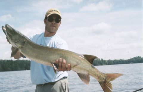 1980 Ford Bronco - Slaughtered my previous largest musky record by 6.5 inches! This one tapes out to 44.5"! It was a slob-monster!