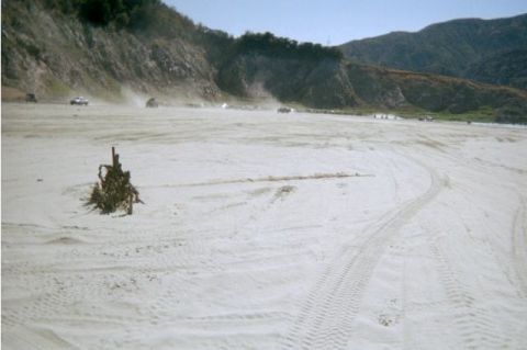 1990 Ford Bronco - That same stupid tree 2 months later