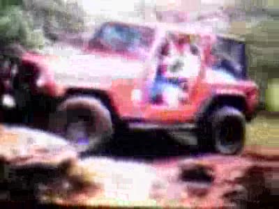 1989 Jeep Wrangler - Big M trip The first time I had ever been and it was fun