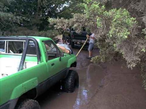1995 Ford Bronco - A lime-green square-body Chevrolet pickup with a cut-down cab, roll bar and mud-terrain tires sits in a muddy rutted trail lined with brush…