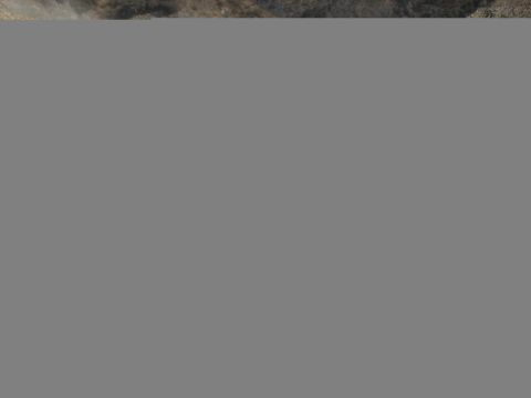 1990 Ford Bronco - Only a thin band of rocky hillside is visible across the top of this largely obscured image.