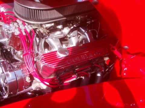 1978 Ford Bronco - Close-up of a polished engine bay red Cobra valve covers and bright red spark plug wires.