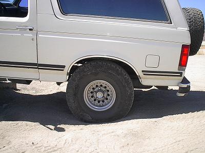1988 Ford Bronco - Rear view of a white Ford Bronco, showing the spare tire and side panel.
